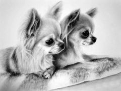 Chihuahua Duo Diamond painting kit