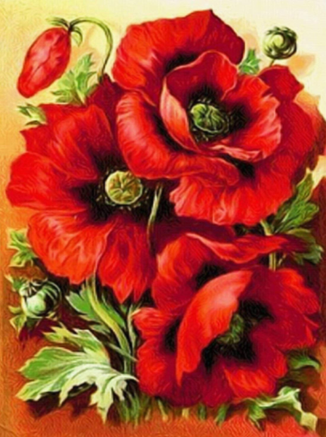 Poppies Diamond Painting Kit