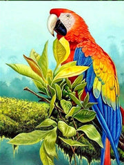 Perched Parrot Diamond painting kit