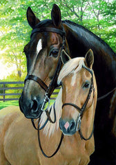 The Stable Diamond Paintings Kit