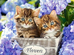 Baby Blue Kittens Diamond painting kit