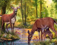 Deer Family by the Stream Diamond painting kit