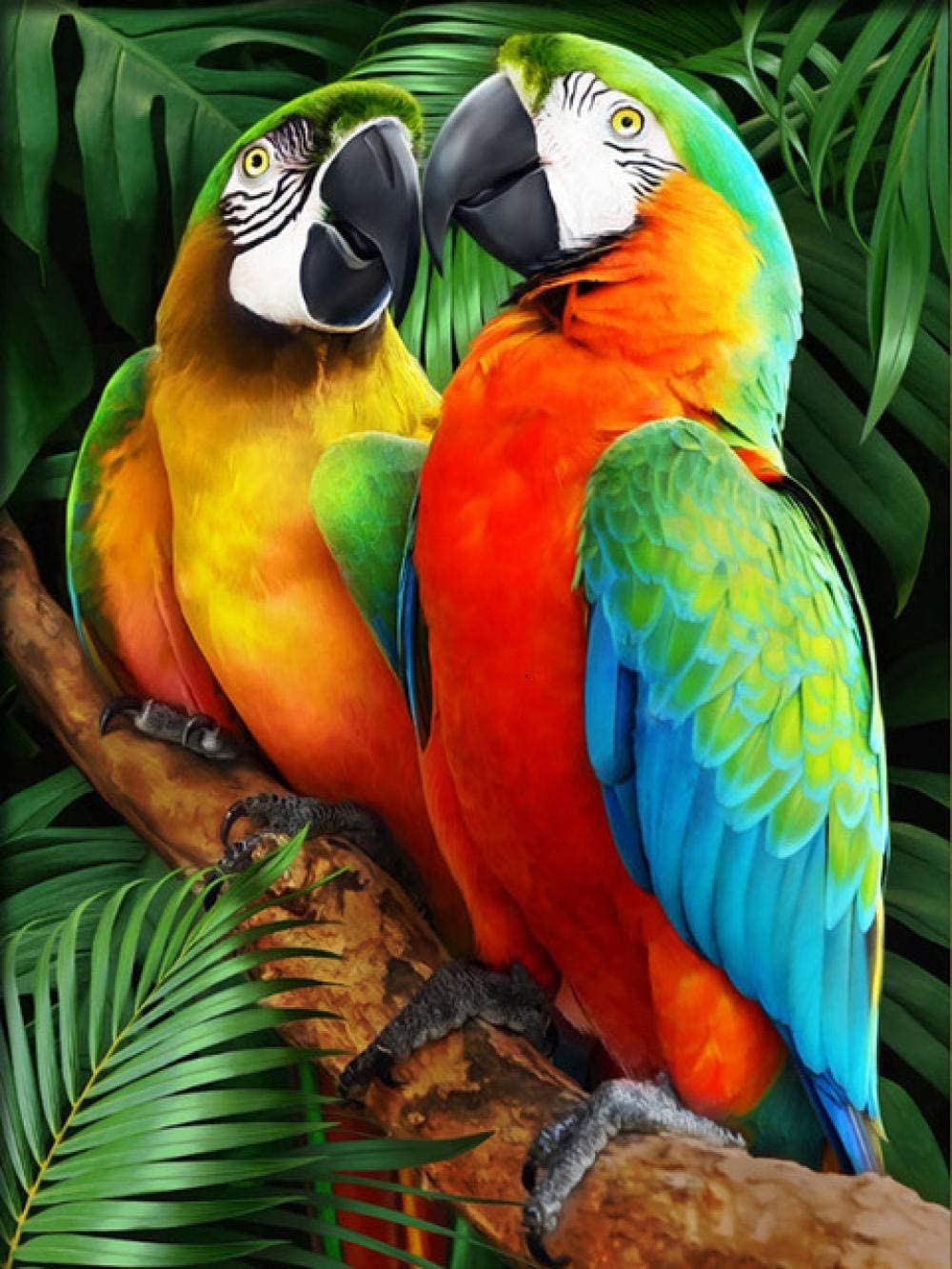 Parrot Pair Diamond Painting Kit