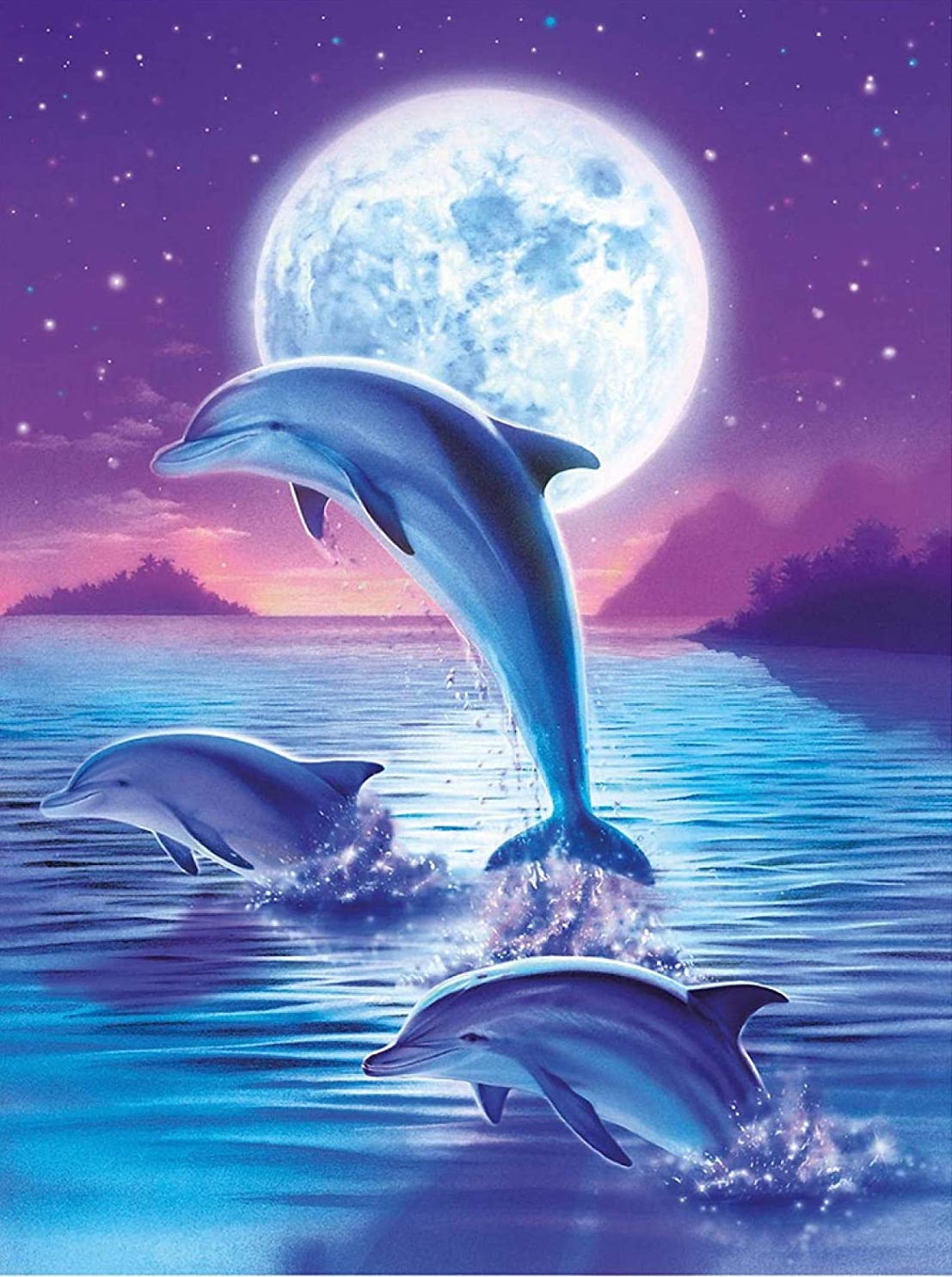 Moonlit Dolphins Diamond painting kit