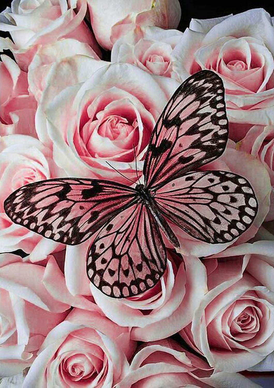 Pink Wings Diamond Painting Kit