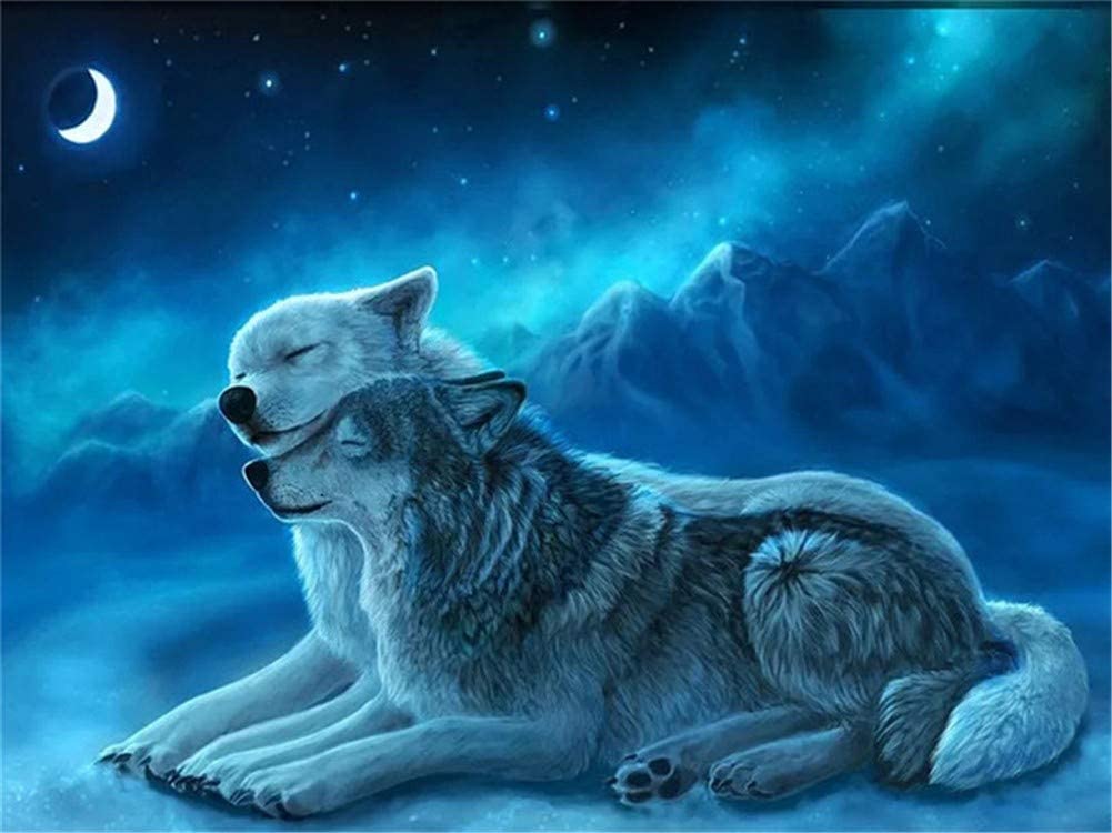 Arctic Wolf Duo Diamond painting kit