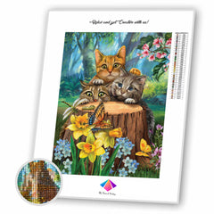 Cats in the Garden Diamond painting kit