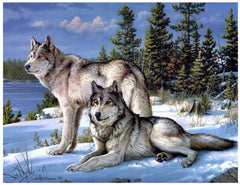 Alaskan Wolves Diamond painting kit