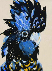 Black Cockatoo Diamond painting kit