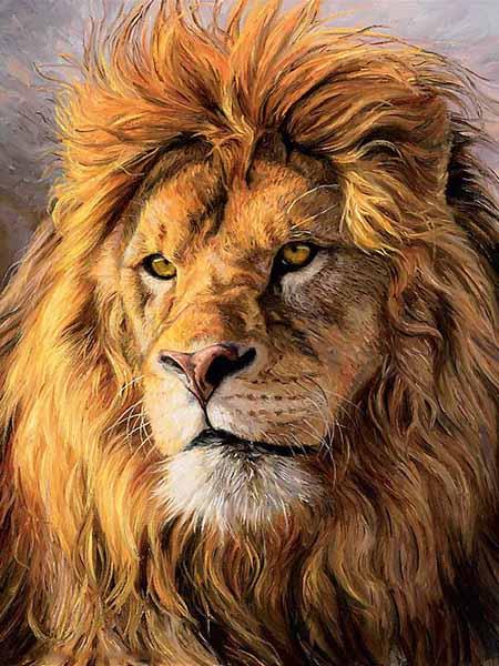 King of The Jungle Diamond painting kit