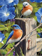 Twin Bluebirds Diamond Paintings Kit