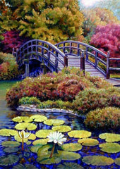 Lily Pad Gardens Diamond painting kit