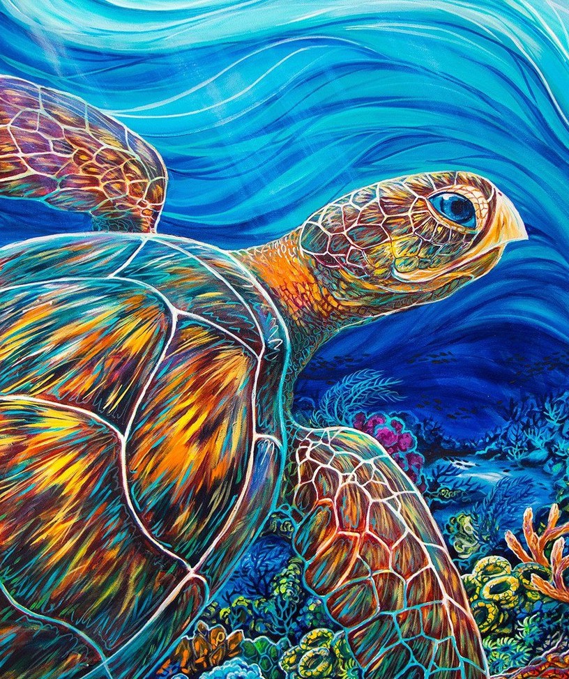 Turtle Traveller Diamond Paintings Kit