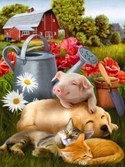 Farm Life Diamond painting kit