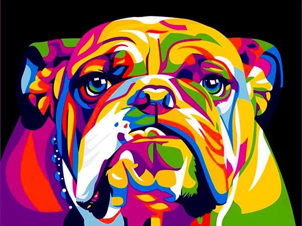 Bulldog in Rainbow Diamond painting kit