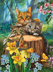 Cats in the Garden Diamond painting kit