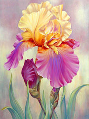 Iris in Bloom Diamond painting kit