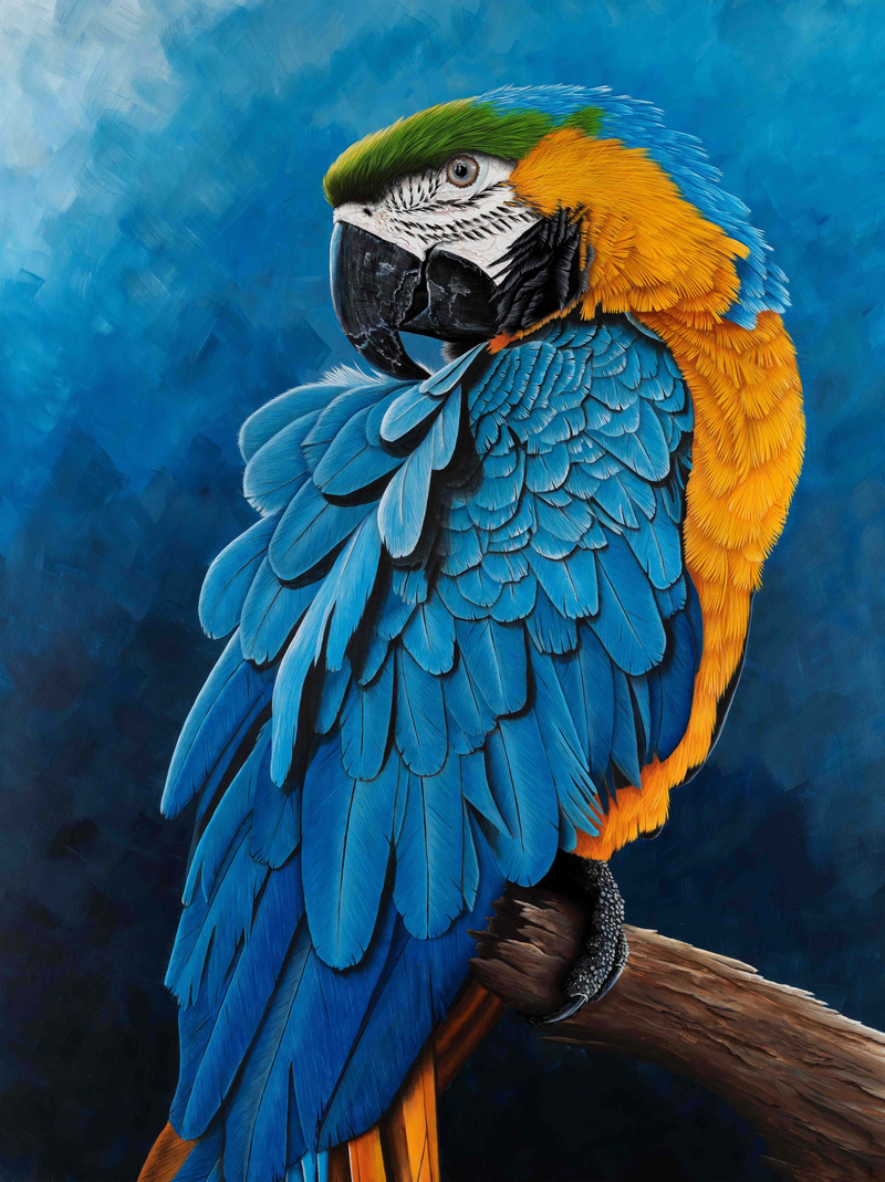 Blue & Gold Macaw Diamond painting kit