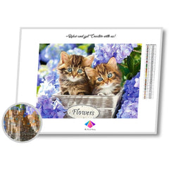 Baby Blue Kittens Diamond painting kit