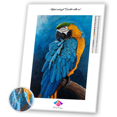 Blue & Gold Macaw Diamond painting kit