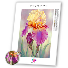 Iris in Bloom Diamond painting kit