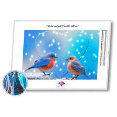 Love Birds Diamond painting kit