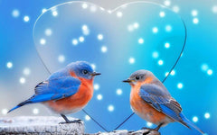 Love Birds Diamond painting kit