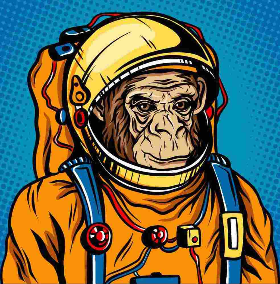 Chimp in Space Diamond painting kit