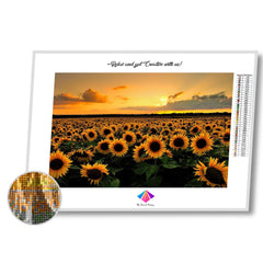 Sea of Sunflowers Diamond Painting Kit