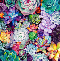 Succulent Dreams Diamond Painting Kit