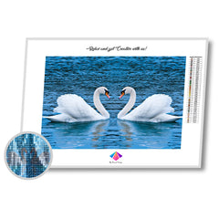 Two Halves Diamond Paintings Kit