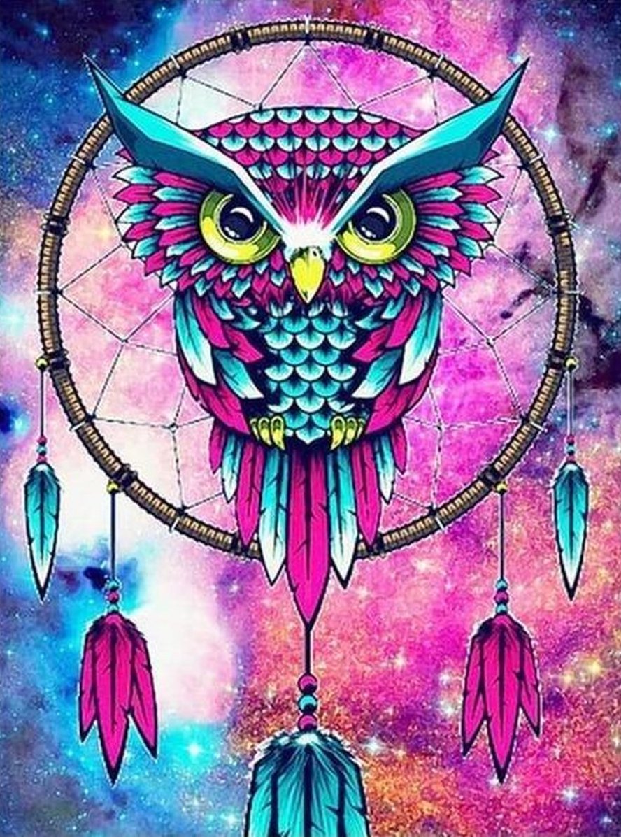 Owl Dreamcatcher Diamond Painting Kit