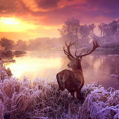 A Deer's View Diamond painting kit