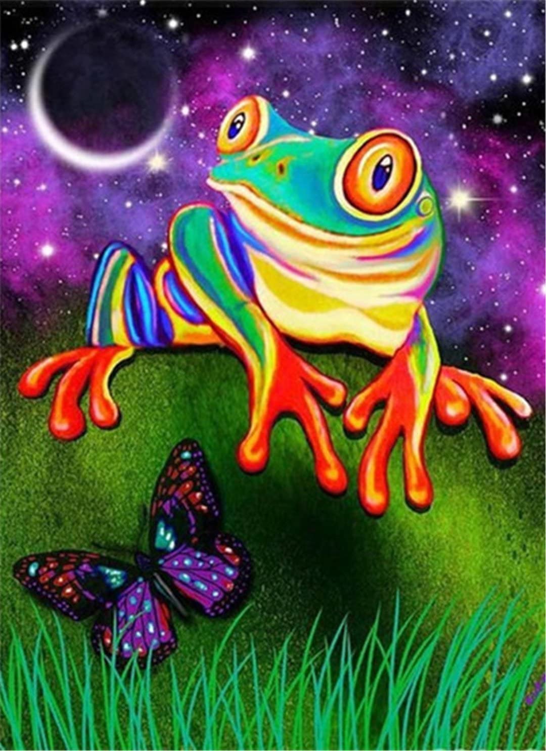 Frog Gazing Diamond painting kit