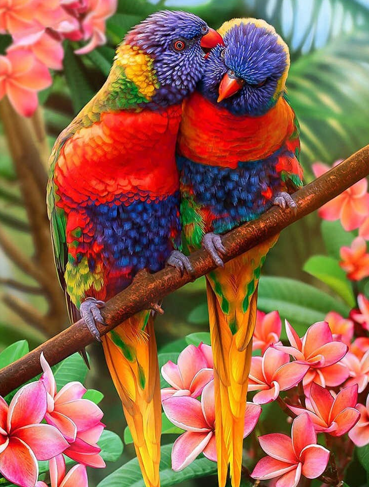 Parrot Kisses Diamond Painting Kit