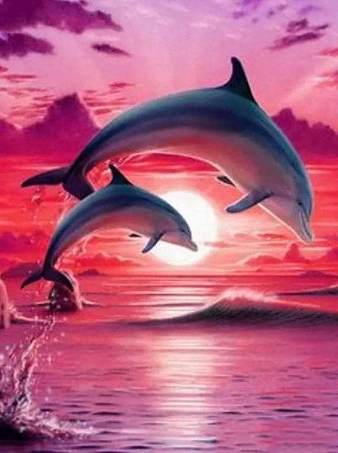 Dolphin Sunset Diamond painting kit