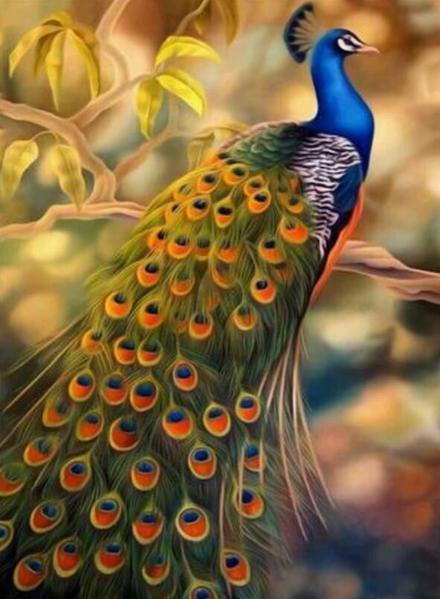 Perched Peacock Diamond painting kit