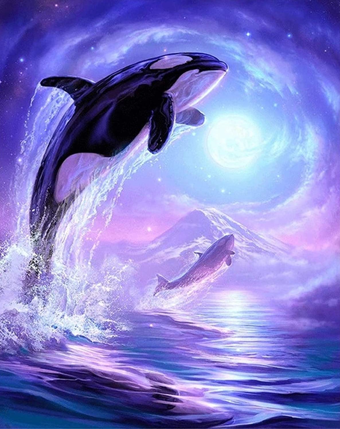 Killer Whales Diamond painting kit