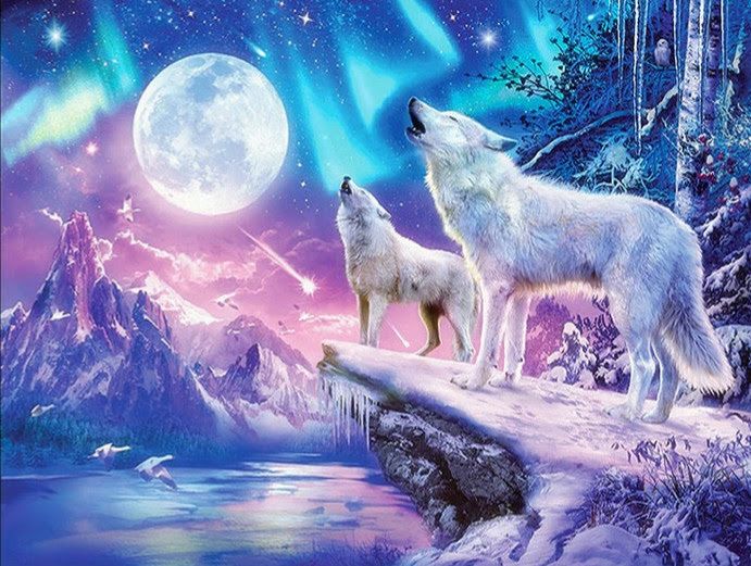 Howling at Stars Diamond painting kit