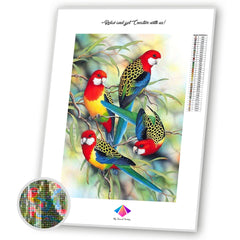 Rainbow Feathers Diamond Painting Kit