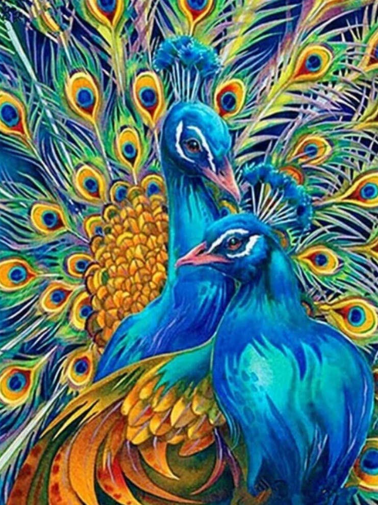 Peacock Royalty Diamond painting kit